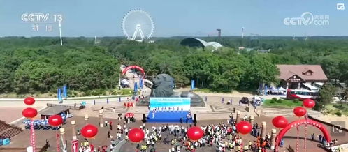 742亿 958亿,周边产品火爆 端午经济呈现多样 旅游 新样态