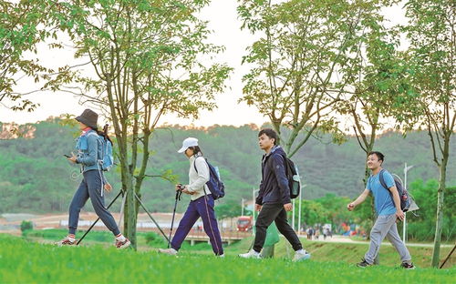 活力之光闪耀科学之城